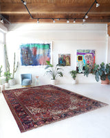 Antique Persian area rug in a living room setting, pile rug, vintage rug, portland, rug shop, bright colors, wild shaman, soft rug, bold color, Portland, Oregon, rug store, rug shop, local shop, antique rug, Persian rug, handmade rug, wool rug, distressed rug