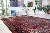 Antique Persian area rug in a living room setting, pile rug, vintage rug, portland, rug shop, bright colors, wild shaman, soft rug, bold color, Portland, Oregon, rug store, rug shop, local shop, antique rug, Persian rug, handmade rug, wool rug, distressed rug