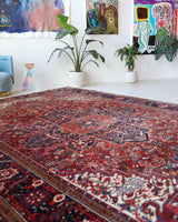 Antique Persian area rug in a living room setting, pile rug, vintage rug, portland, rug shop, bright colors, wild shaman, soft rug, bold color, Portland, Oregon, rug store, rug shop, local shop, antique rug, Persian rug, handmade rug, wool rug, distressed rug