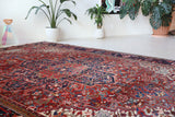 Antique Persian area rug in a living room setting, pile rug, vintage rug, portland, rug shop, bright colors, wild shaman, soft rug, bold color, Portland, Oregon, rug store, rug shop, local shop, antique rug, Persian rug, handmade rug, wool rug, distressed rug