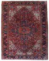 Antique Persian area rug in a living room setting, pile rug, vintage rug, portland, rug shop, bright colors, wild shaman, soft rug, bold color, Portland, Oregon, rug store, rug shop, local shop, antique rug, Persian rug, handmade rug, wool rug, distressed rug