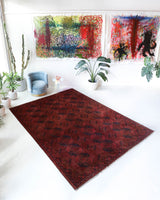 Antique Turkmen rug in a living room setting, pile rug, Turkish rug, vintage rug, portland, rug shop, bright colors, wild shaman, soft rug, bold color, Portland, Oregon, rug store, rug shop, local shop, antique rug