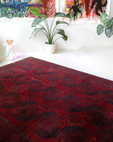Antique Turkmen rug in a living room setting, pile rug, Turkish rug, vintage rug, portland, rug shop, bright colors, wild shaman, soft rug, bold color, Portland, Oregon, rug store, rug shop, local shop, antique rug