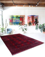 Antique Turkmen rug in a living room setting, pile rug, Turkish rug, vintage rug, portland, rug shop, bright colors, wild shaman, soft rug, bold color, Portland, Oregon, rug store, rug shop, local shop, antique rug
