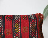 pillow, turkish pillow, kilim pillow, home decor, decorative pillow, sham, rug pillow, decor, home decor, pouf, floor cushion, cushion, Portland, rugshop, Oregon, Wild Shaman, ottoman