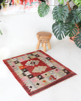 Vintage kilim rug in living room setting, bright colors, wild shaman, soft rug, bold color, Portland, Oregon, rug store, rug shop, local shop, vintage rug, modern kilim, warm colors, antique rug, antique kilim