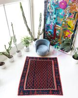 Vintage kilim rug in living room setting, bright colors, wild shaman, soft rug, bold color, Portland, Oregon, rug store, rug shop, local shop, vintage rug, modern kilim, warm colors, antique kilim rug