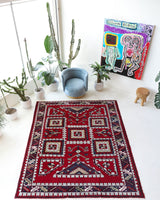 Vintage Turkish rug in a living room setting, Area rug in a living room setting, pile rug, Turkish rug, custom rug, modern rug, portland, rug shop, bright colors, wild shaman, soft rug, bold color, Portland, Oregon, rug store, rug shop, local shop