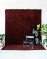 Antique Turkmen rug in a living room setting, pile rug, Turkish rug, vintage rug, portland, rug shop, bright colors, wild shaman, soft rug, bold color, Portland, Oregon, rug store, rug shop, local shop, antique rug