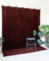 Antique Turkmen rug in a living room setting, pile rug, Turkish rug, vintage rug, portland, rug shop, bright colors, wild shaman, soft rug, bold color, Portland, Oregon, rug store, rug shop, local shop, antique rug