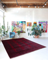 Antique Turkmen rug in a living room setting, pile rug, Turkish rug, vintage rug, portland, rug shop, bright colors, wild shaman, soft rug, bold color, Portland, Oregon, rug store, rug shop, local shop, antique rug