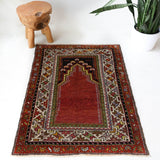 Turkish rug in a living room setting, pile rug, Turkish rug, vintage rug, portland, rug shop, bright colors, wild shaman, soft rug, bold color, Portland, Oregon, rug store, rug shop, local shop, antique rug