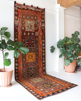 Vintage kilim rug in living room setting, bright colors, wild shaman, soft rug, bold color, Portland, Oregon, rug store, rug shop, local shop, vintage rug, modern kilim, warm colors