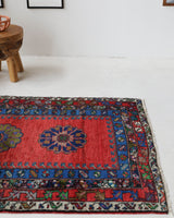 Vintage Turkish rug in a living room setting, pile rug, Turkish rug, vintage rug, portland, rug shop, bright colors, wild shaman, soft rug, bold color, Portland, Oregon, rug store, rug shop, local shop