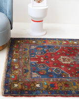 Vintage Turkish rug in a living room setting, pile rug, Turkish rug, vintage rug, portland, rug shop, bright colors, wild shaman, soft rug, bold color, Portland, Oregon, rug store, rug shop, local shop, antique rug