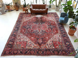 Antique Persian area rug in a living room setting, pile rug, vintage rug, portland, rug shop, bright colors, wild shaman, soft rug, bold color, Portland, Oregon, rug store, rug shop, local shop, antique rug, Persian rug, handmade rug, wool rug, distressed rug
