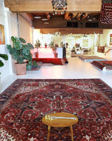 Antique Persian area rug in a living room setting, pile rug, vintage rug, portland, rug shop, bright colors, wild shaman, soft rug, bold color, Portland, Oregon, rug store, rug shop, local shop, antique rug, Persian rug, handmade rug, wool rug, distressed rug