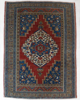 Vintage Turkish rug in a living room setting, Area rug in a living room setting, pile rug, Turkish rug, custom rug, modern rug, portland, rug shop, bright colors, wild shaman, soft rug, bold color, Portland, Oregon, rug store, rug shop, local shop