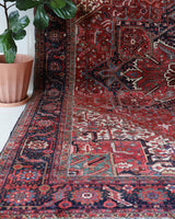Antique Persian area rug in a living room setting, pile rug, vintage rug, portland, rug shop, bright colors, wild shaman, soft rug, bold color, Portland, Oregon, rug store, rug shop, local shop, antique rug, Persian rug, handmade rug, wool rug, distressed rug