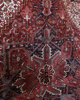 Antique Persian area rug in a living room setting, pile rug, vintage rug, portland, rug shop, bright colors, wild shaman, soft rug, bold color, Portland, Oregon, rug store, rug shop, local shop, antique rug, Persian rug, handmade rug, wool rug, distressed rug