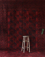 Antique Turkmen rug in a living room setting, pile rug, Turkish rug, vintage rug, portland, rug shop, bright colors, wild shaman, soft rug, bold color, Portland, Oregon, rug store, rug shop, local shop, antique rug
