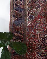 Antique Persian area rug in a living room setting, pile rug, vintage rug, portland, rug shop, bright colors, wild shaman, soft rug, bold color, Portland, Oregon, rug store, rug shop, local shop, antique rug, Persian rug, handmade rug, wool rug, distressed rug