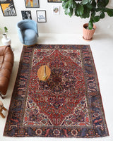 Antique Persian area rug in a living room setting, pile rug, vintage rug, portland, rug shop, bright colors, wild shaman, soft rug, bold color, Portland, Oregon, rug store, rug shop, local shop, antique rug, Persian rug, handmade rug, wool rug, distressed rug