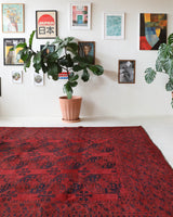 Antique Turkmen rug in a living room setting, pile rug, Turkish rug, vintage rug, portland, rug shop, bright colors, wild shaman, soft rug, bold color, Portland, Oregon, rug store, rug shop, local shop, antique rug