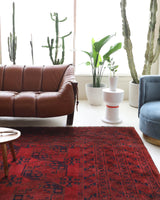 Antique Turkmen rug in a living room setting, pile rug, Turkish rug, vintage rug, portland, rug shop, bright colors, wild shaman, soft rug, bold color, Portland, Oregon, rug store, rug shop, local shop, antique rug