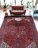 Antique Persian area rug in a living room setting, pile rug, vintage rug, portland, rug shop, bright colors, wild shaman, soft rug, bold color, Portland, Oregon, rug store, rug shop, local shop, antique rug, Persian rug, handmade rug, wool rug, distressed rug