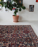 Antique Persian area rug in a living room setting, pile rug, vintage rug, portland, rug shop, bright colors, wild shaman, soft rug, bold color, Portland, Oregon, rug store, rug shop, local shop, antique rug, Persian rug, handmade rug, wool rug, distressed rug