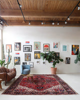 Antique Persian area rug in a living room setting, pile rug, vintage rug, portland, rug shop, bright colors, wild shaman, soft rug, bold color, Portland, Oregon, rug store, rug shop, local shop, antique rug, Persian rug, handmade rug, wool rug, distressed rug