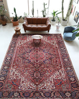 Antique Persian area rug in a living room setting, pile rug, vintage rug, portland, rug shop, bright colors, wild shaman, soft rug, bold color, Portland, Oregon, rug store, rug shop, local shop, antique rug, Persian rug, handmade rug, wool rug, distressed rug