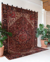 Antique Persian area rug in a living room setting, pile rug, vintage rug, portland, rug shop, bright colors, wild shaman, soft rug, bold color, Portland, Oregon, rug store, rug shop, local shop, antique rug, Persian rug, handmade rug, wool rug, distressed rug