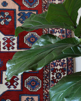 Vintage Turkish rug in a living room setting, pile rug, Turkish rug, vintage rug, portland, rug shop, bright colors, wild shaman, soft rug, bold color, Portland, Oregon, rug store, rug shop, local shop, antique rug