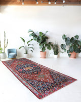 Vintage kilim rug in living room setting, bright colors, wild shaman, soft rug, bold color, Portland, Oregon, rug store, rug shop, local shop, vintage rug, modern kilim, warm colors, antique kilim rug