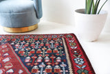 Vintage kilim rug in living room setting, bright colors, wild shaman, soft rug, bold color, Portland, Oregon, rug store, rug shop, local shop, vintage rug, modern kilim, warm colors, antique kilim rug