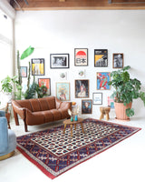 Vintage Turkish rug in a living room setting, pile rug, Turkish rug, vintage rug, portland, rug shop, bright colors, wild shaman, soft rug, bold color, Portland, Oregon, rug store, rug shop, local shop, antique rug