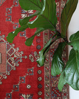 Vintage Turkish rug in living room setting, old rug, antique rug, pastel colors, faded colors, Turkish rug, vintage rug, soft rug, Portland, Oregon, rug store, rug shop, local shop