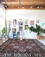Antique Persian area rug in a living room setting, pile rug, vintage rug, portland, rug shop, bright colors, wild shaman, soft rug, bold color, Portland, Oregon, rug store, rug shop, local shop, antique rug, Persian rug, handmade rug, wool rug, distressed rug