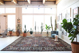 Antique Persian area rug in a living room setting, pile rug, vintage rug, portland, rug shop, bright colors, wild shaman, soft rug, bold color, Portland, Oregon, rug store, rug shop, local shop, antique rug, Persian rug, handmade rug, wool rug, distressed rug