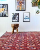 Antique Turkmen rug in a living room setting, pile rug, Turkish rug, vintage rug, portland, rug shop, bright colors, wild shaman, soft rug, bold color, Portland, Oregon, rug store, rug shop, local shop, antique rug
