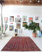 Antique Turkmen rug in a living room setting, pile rug, Turkish rug, vintage rug, portland, rug shop, bright colors, wild shaman, soft rug, bold color, Portland, Oregon, rug store, rug shop, local shop, antique rug