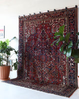 Antique Persian area rug in a living room setting, pile rug, vintage rug, portland, rug shop, bright colors, wild shaman, soft rug, bold color, Portland, Oregon, rug store, rug shop, local shop, antique rug, Persian rug, handmade rug, wool rug, distressed rug