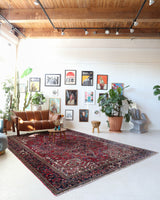 Antique Persian area rug in a living room setting, pile rug, vintage rug, portland, rug shop, bright colors, wild shaman, soft rug, bold color, Portland, Oregon, rug store, rug shop, local shop, antique rug, Persian rug, handmade rug, wool rug, distressed rug