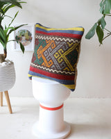 pillow, turkish pillow, kilim pillow, home decor, decorative pillow, sham, rug pillow, decor, home decor, pouf, floor cushion, cushion, Portland, rugshop, Oregon, Wild Shaman, ottoman