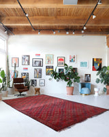 Antique Turkmen rug in a living room setting, pile rug, Turkish rug, vintage rug, portland, rug shop, bright colors, wild shaman, soft rug, bold color, Portland, Oregon, rug store, rug shop, local shop, antique rug