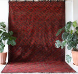 Antique Turkmen rug in a living room setting, pile rug, Turkish rug, vintage rug, portland, rug shop, bright colors, wild shaman, soft rug, bold color, Portland, Oregon, rug store, rug shop, local shop, antique rug