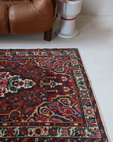 Antique Persian area rug in a living room setting, pile rug, vintage rug, portland, rug shop, bright colors, wild shaman, soft rug, bold color, Portland, Oregon, rug store, rug shop, local shop, antique rug, Persian rug, handmade rug, wool rug, distressed rug
