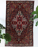 Antique Persian area rug in a living room setting, pile rug, vintage rug, portland, rug shop, bright colors, wild shaman, soft rug, bold color, Portland, Oregon, rug store, rug shop, local shop, antique rug, Persian rug, handmade rug, wool rug, distressed rug